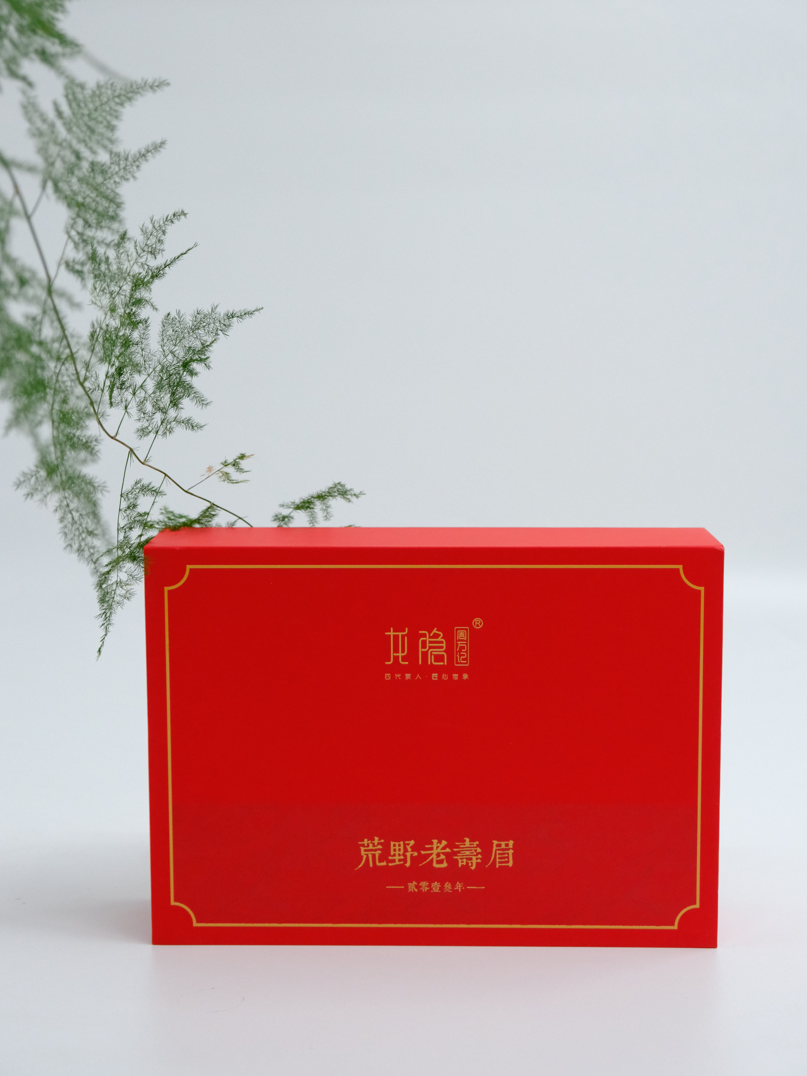 寿眉寿眉龙隐老树枣香浓郁