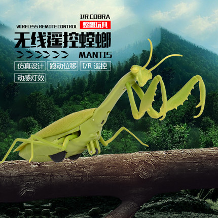 螳螂遥控仿真爬行动物整蛊昆虫中小学生玩具3一7-8一12岁男女孩
