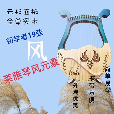 莱雅琴小竖琴19弦大地之光初学冷门乐器简单易学箜篌里拉琴箱式音