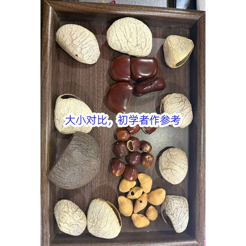 印尼进口植物果壳风铃diy材料包已打孔摇铃手工包挂配件景区同款