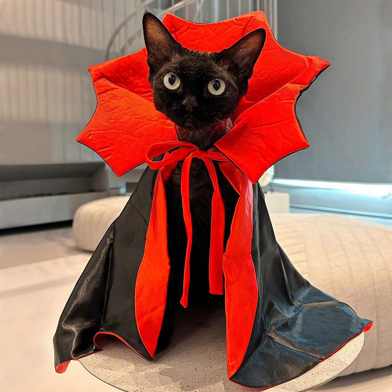 猫咪衣服万圣节蝙蝠披风宠物小狗狗斗篷节日拍照搞怪吸血鬼变身装