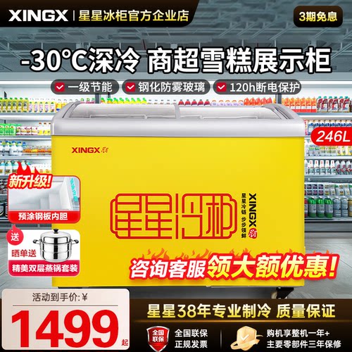 星星雪糕饮料柜便利店大容量