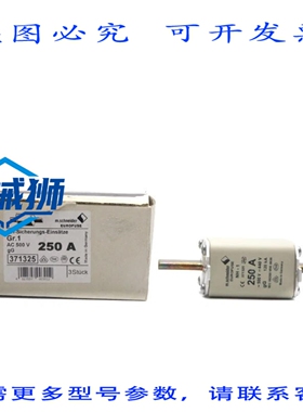 原装供应 M. 371325 500V 250A（3个装）NSMP