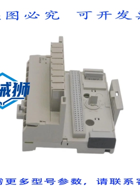 原装供应 罗克韦尔AB 1794-TBNF 系列A 250V 10A NSNP