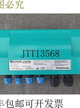 供应Pepperl+Fuchs 204715-0001 F2D0-FB-EX4CG 现场走廊隔