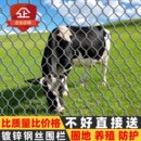 镀锌铁丝网围栏防锈钢丝防护网养殖牛羊猪栏网果园菜地围栏隔离网