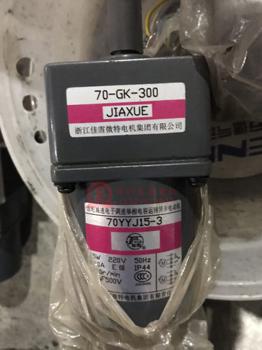 70YYJ15-3/70GK-300浙江佳雪微特电机集团有限公司生产的15W马达