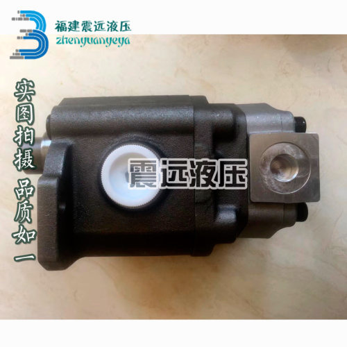 AP2D25齿轮泵 现代R60/斗山DH55/斗山DH60挖掘机齿轮泵尾泵先导泵