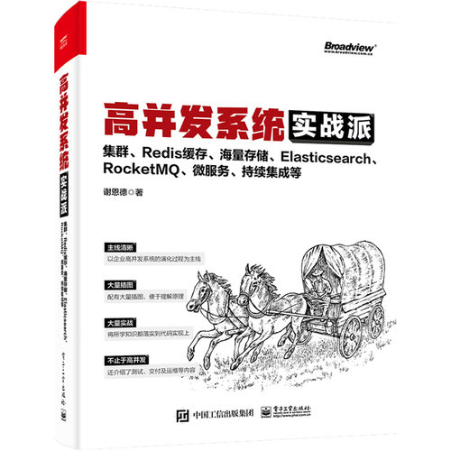 正版图书包邮高并发系统实战派 集群、Redis缓存、海量存储、Elasticsearch、RocketM 、微服务、持续集成等谢恩德9787121442049