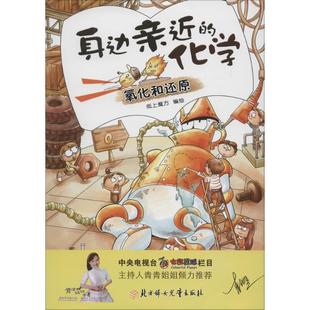 化学?氧化和还原纸上魔方9787538596397北方妇女儿童出版 正版 身边亲近 包邮 社 图书