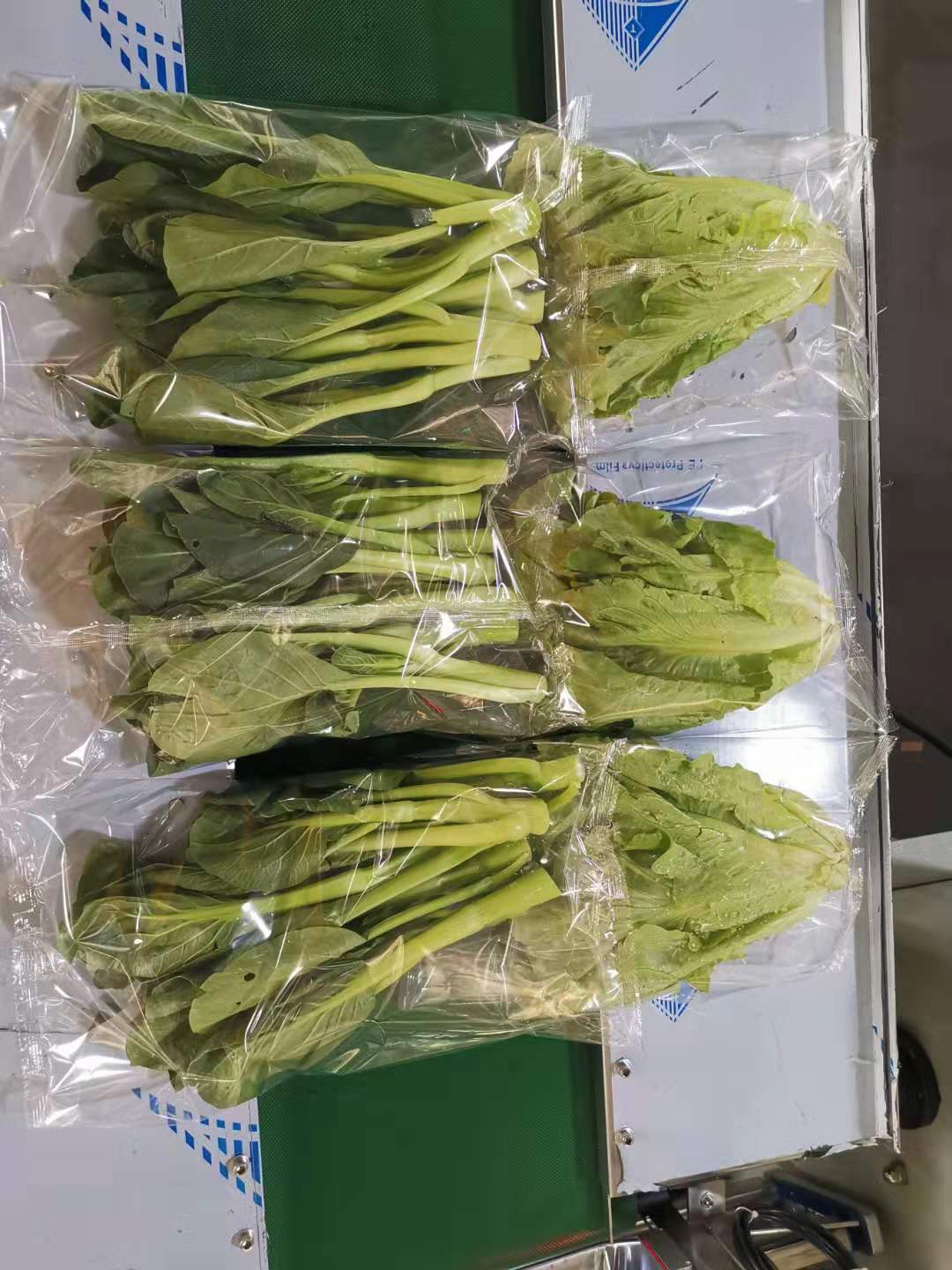 自动蔬菜枕式包装机商用超市新鲜蔬果打包机叶菜类瓜类制袋式封口