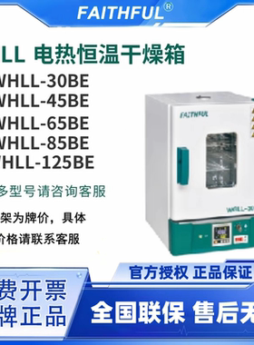 FAITHFUL菲斯福实验室烘箱WHLL-45BE电热数显恒温干燥箱