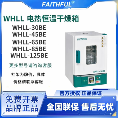 FAITHFUL菲斯福实验室烘箱WHLL-45BE电热数显恒温干燥箱