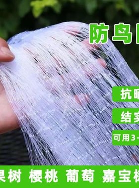尼龙防鸟网果树阳台鱼塘防鸟神器