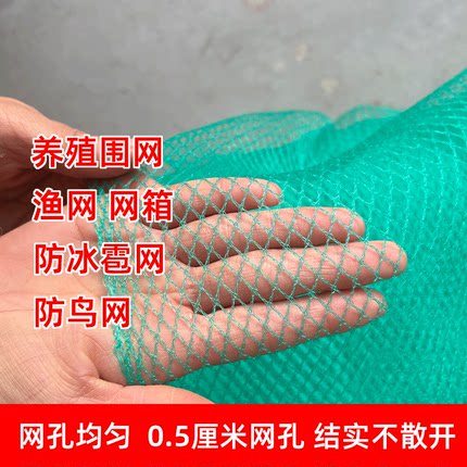 小网孔渔网围网养殖养鸡网果树防鸟网防护网无结网0.5厘米