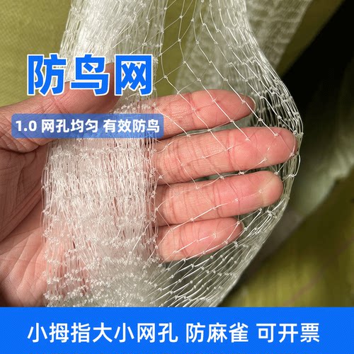 1厘米小网孔防鸟网防冰雹养殖网