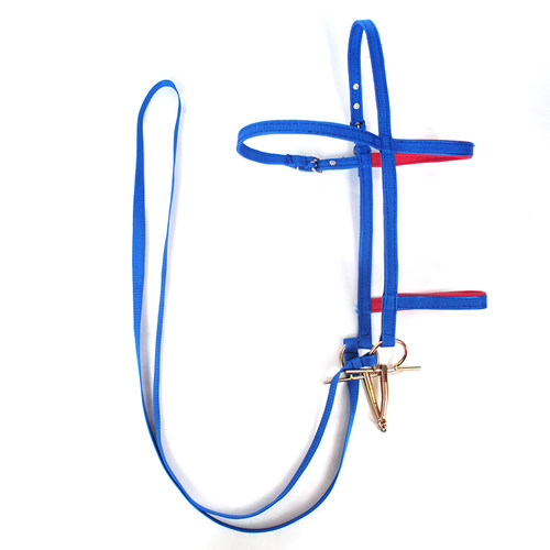 H型马口衔马蹶子水勒套装