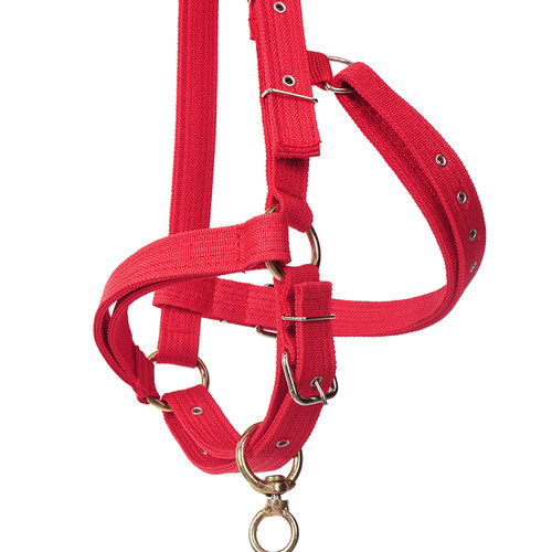 2024款牛龙头笼头可调秃头