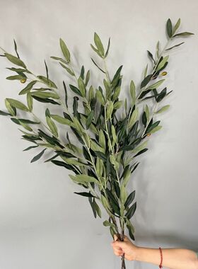厂家 仿真植物橄榄叶 丝印加厚叶片假树枝 花艺软装造景道具