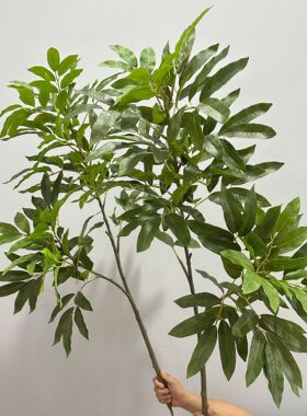 仿真绿植龙眼叶高档微景观造景地插假植物软装大型盆栽摆件装饰叶