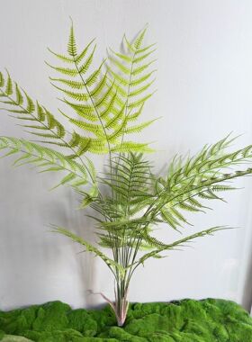 仿真蕨类植物金丝猴蕨大波斯蕨叶软胶大把束绿植造景景观家居装饰