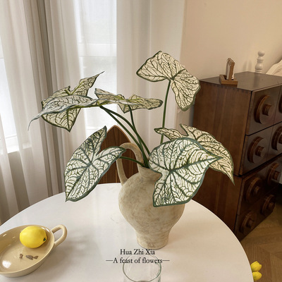 新品仿真海芋叶海棠叶彩芋叶  商场橱窗摄影背景造景客厅摆设绿植