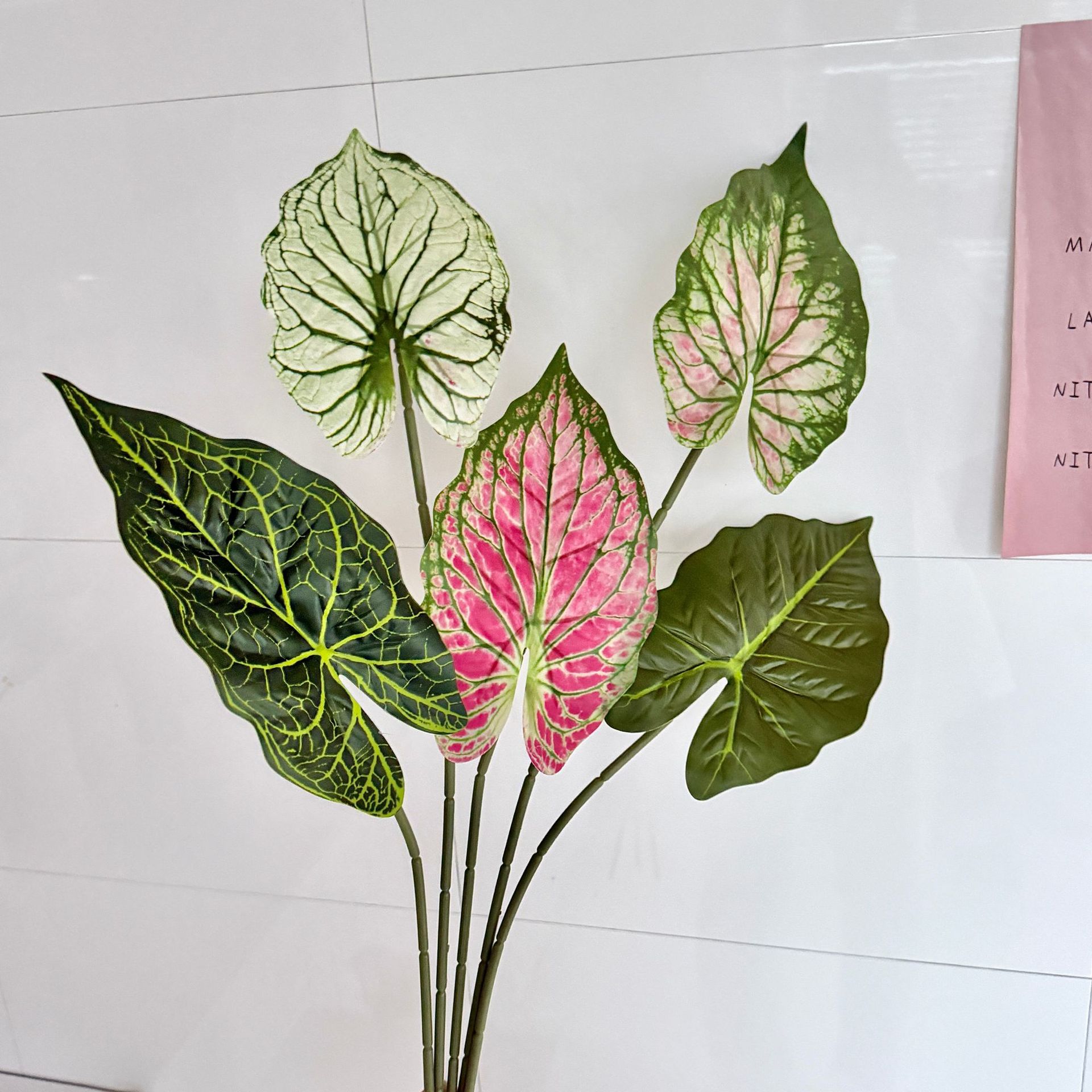 海芋叶仿真植物3D打印粉绿色海芋叶家居餐桌装饰插花造景假花配材图片