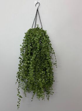 厂家现货 仿真植物串钱藤 百万心纽扣藤人造花艺墙面装饰拍摄
