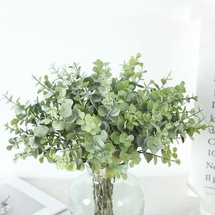 插饰真绿植花跨境 仿仿真植物尤加叶金钱利叶扎束家居装