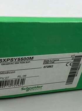 (议价）TSXPSY5500M