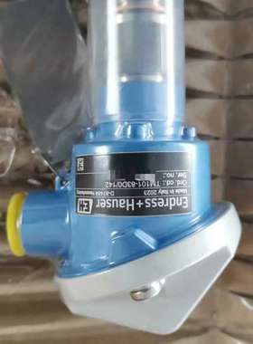 E+H 温度计 TM101-AACCA4BA2H1A1(TM议价