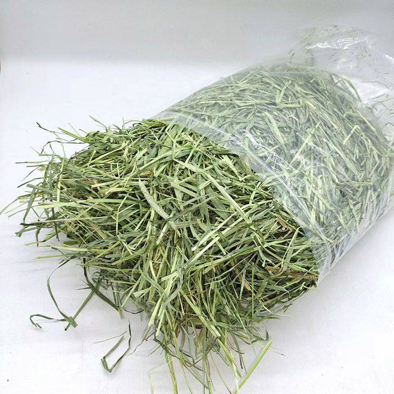 提摩西草种子兔子草豚鼠荷兰猪龙猫提莫西草草籽四季牧草籽猫尾草