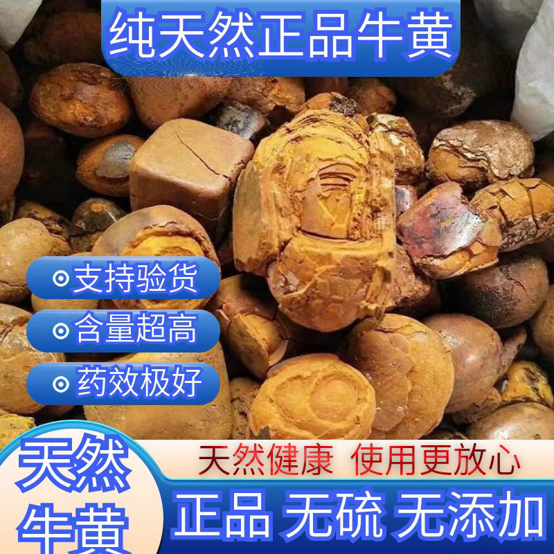 纯天然牛黄1g正宗天然牛胆黄 粉 牛结石 正品保化验 1克 100%干货