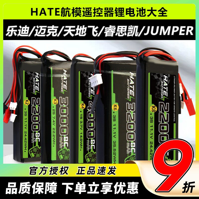 HATE遥控器电池乐迪天地飞迈克图片