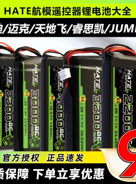 HATE遥控器电池乐迪天地飞迈克