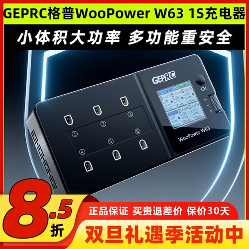 格普WooPowerw631s充电器
