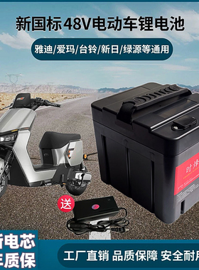 电动车锂电池48V24ah安雅迪爱玛新国标天能星恒同款60v20ah锂电瓶