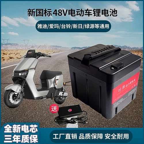 电动车锂电池48V24ah安雅迪爱玛新国标天能星恒同款60v20ah锂电瓶