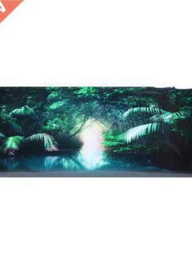 Aquarium Sticker High Transparency Aquarium Background