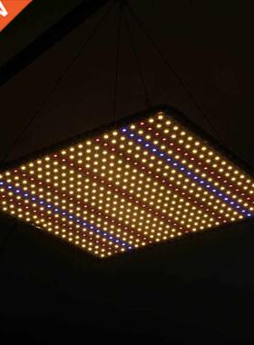 896B LED Grow Lights with Full Spectrum Wavelength High Ir G
