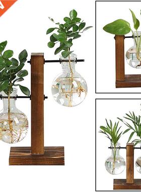 Terrarium Hydroponic Plant Vases Vintage Flower Pot Transpar