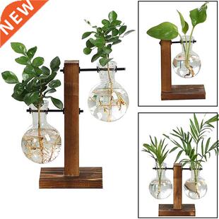Terrarium Hydroponic Plant Vases Vintage Flower Pot Transpar