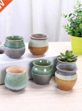 Mini Succulent Plants Flower Pot Pocelain onsai Pot with a