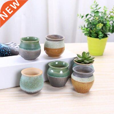 Mini Succulent Plants Flower Pot Pocelain onsai Pot with a