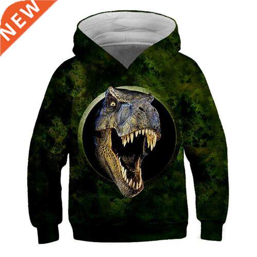 Boys Cool Dinosaur Patterning 3D Hoodies Autumn Teen Kids An