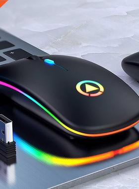 LED Backlit Rechargeable Wireless Silent Mouse USB Mouse Erg