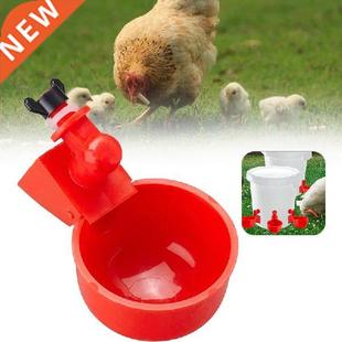 5Pcs Chicken Drinker Drinking Cups for Chickens Red Quail