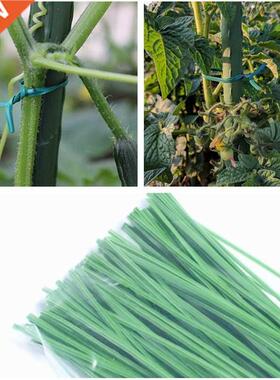 100pcs Green Gardening Vine Climbing Plants Cable Tie Lines