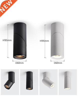 Dimmable Rotating LED Downlights 7W9W12W15W COB LED Ceiling