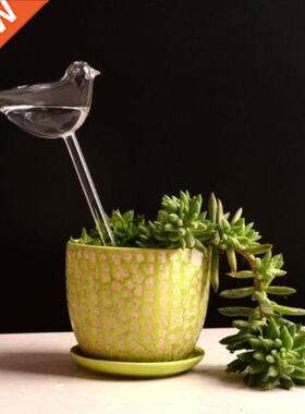 Self Watering Globes Plant Waterer Hand Blown Clear Glass